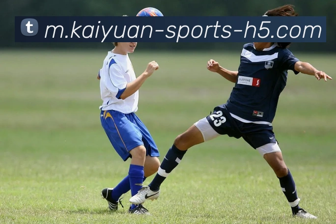 开元体育服务体系